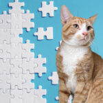 Puzzling For Paws