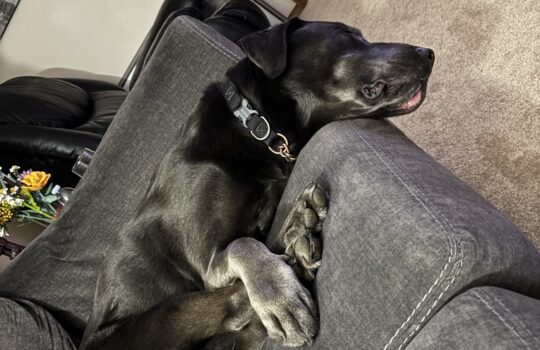 IMG_6568 - Jessica Waytiuk