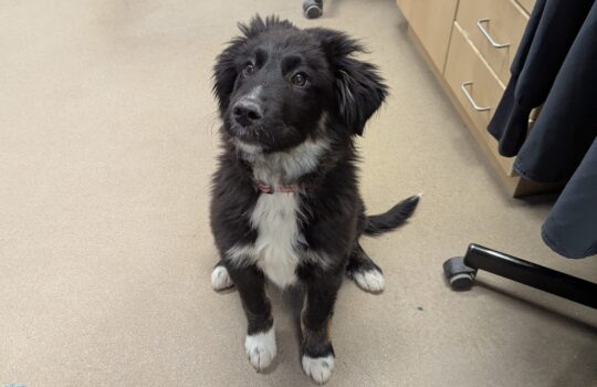 PXL_20251106_150612431