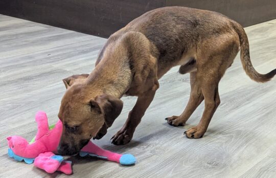 PXL_20251106_200148821