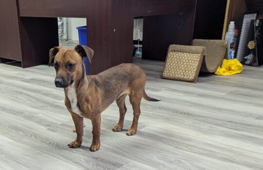 PXL_20251106_200901163