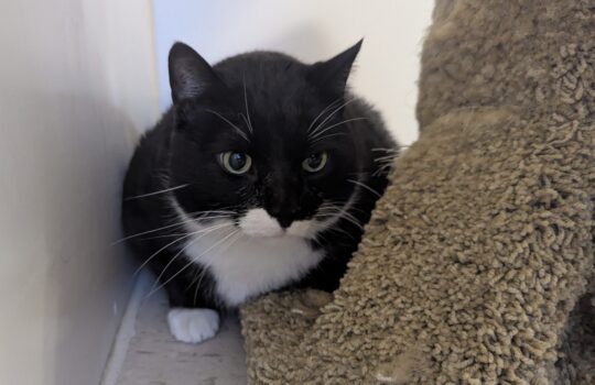 PXL_20251108_224525067