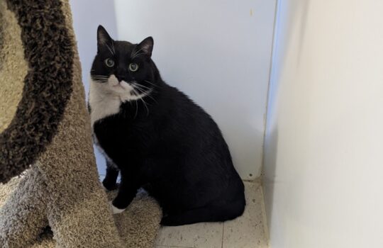 PXL_20251108_224632350