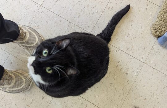 PXL_20251114_154840909