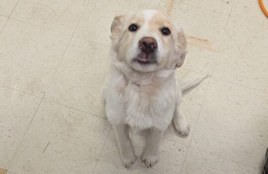 PXL_20251118_172830444