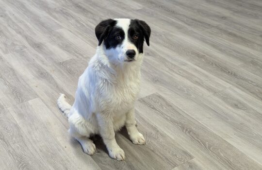 PXL_20251120_215504421