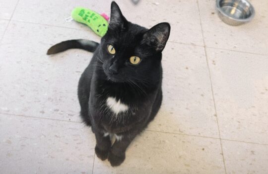 AirBrush_20251229160529