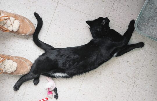 AirBrush_20251229160729