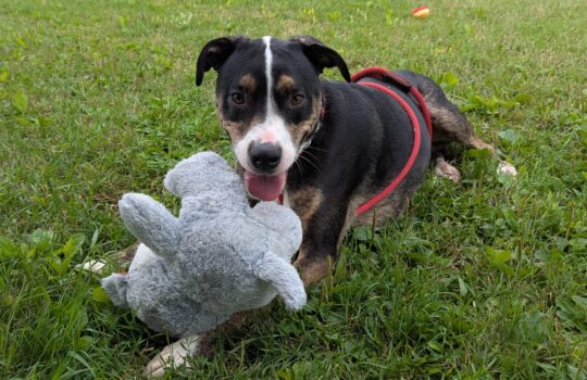 PXL_20250812_175731612