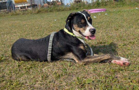 PXL_20250908_202726964