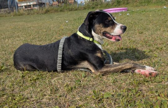 PXL_20250908_202728322 (1)