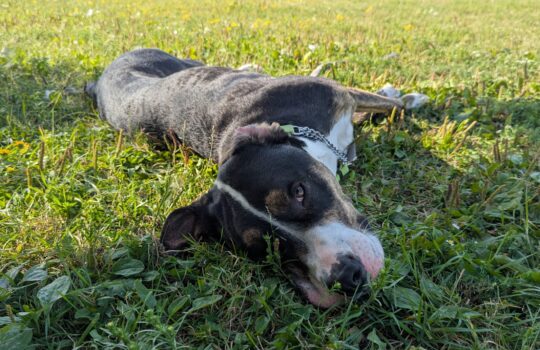 PXL_20250908_210935094