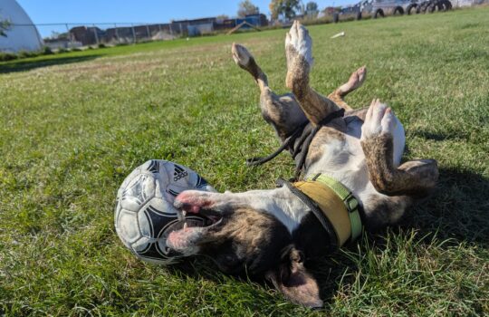 PXL_20251007_182551085