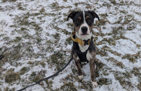 PXL_20251128_210247827