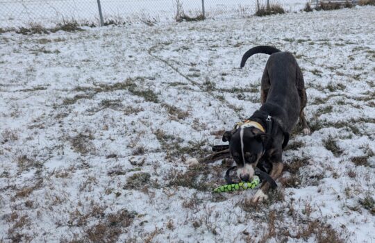 PXL_20251128_210856461