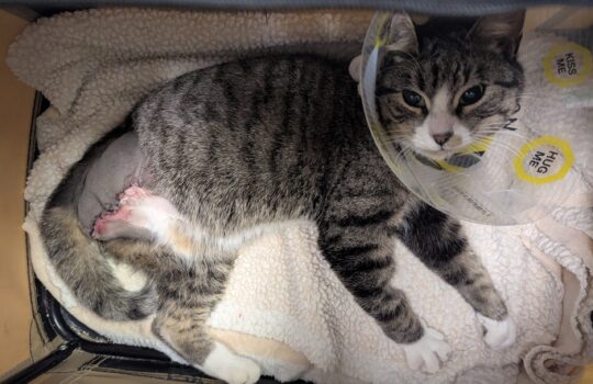 PXL_20251211_223818784 (1)