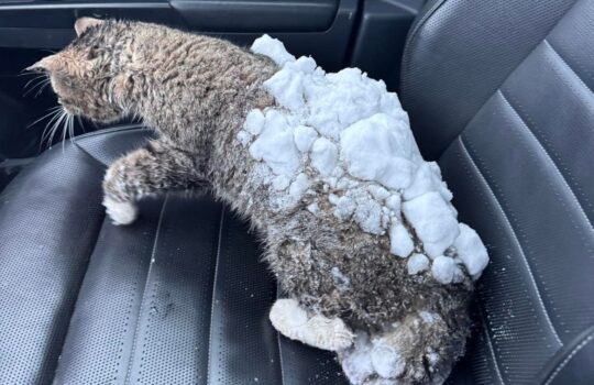 FB_IMG_1768946454376