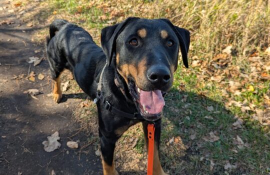 PXL_20251009_170827484 (1)