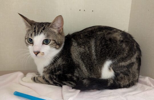 PXL_20260107_235603265