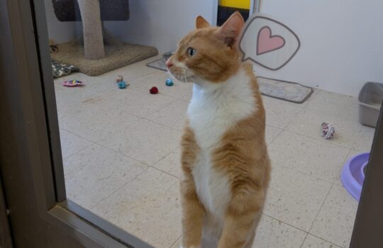 PXL_20260109_190442699