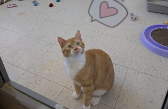 PXL_20260109_190455376