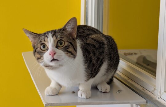 PXL_20260109_190514304