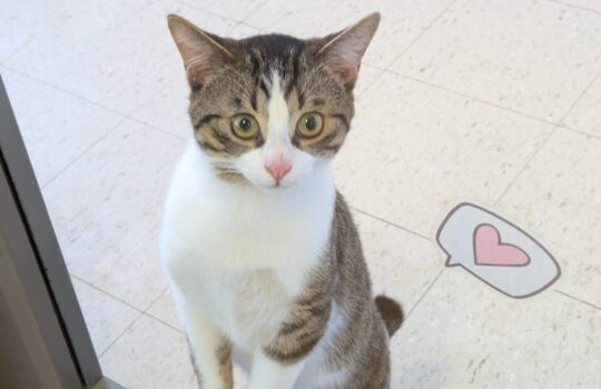 PXL_20260109_190528394