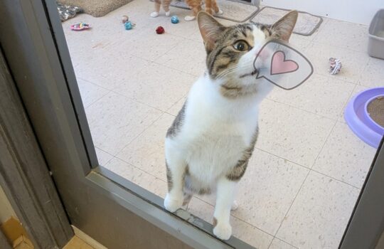 PXL_20260109_190532762