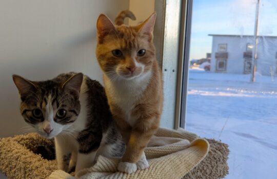 PXL_20260112_144822876