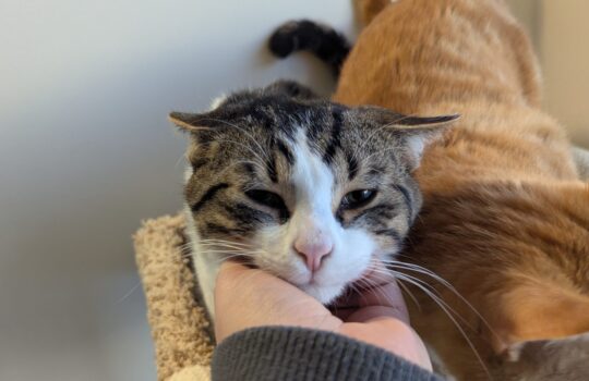 PXL_20260112_144905670