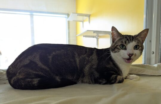 PXL_20260112_193433039