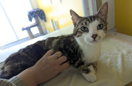 PXL_20260112_193458062