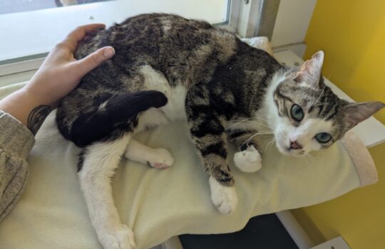 PXL_20260112_193521182