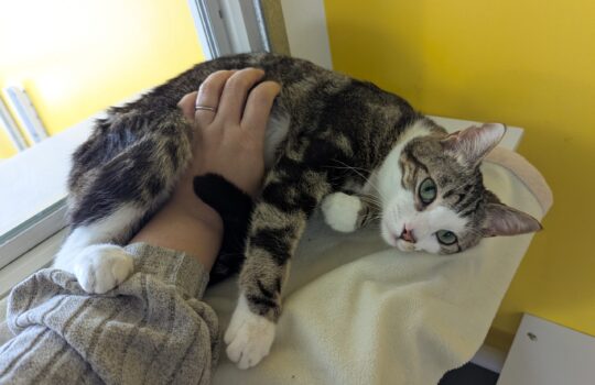 PXL_20260112_193544557 (1)