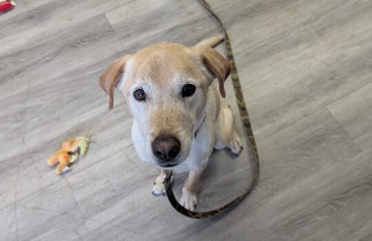 PXL_20260112_202302607 (1)