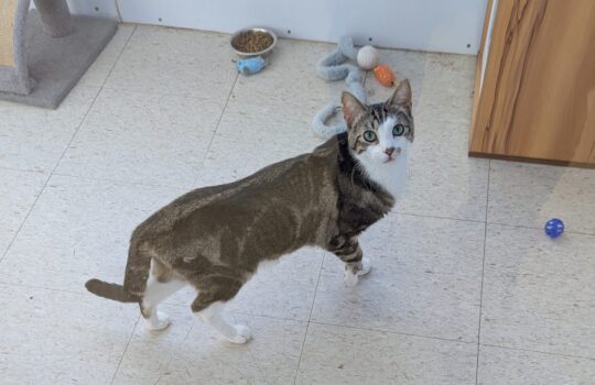 PXL_20260117_153546926