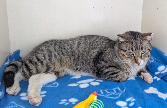 PXL_20260120_210451244