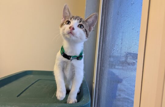 PXL_20260122_142405646