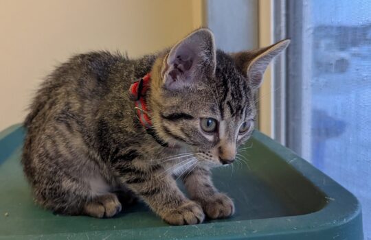 PXL_20260122_142725660