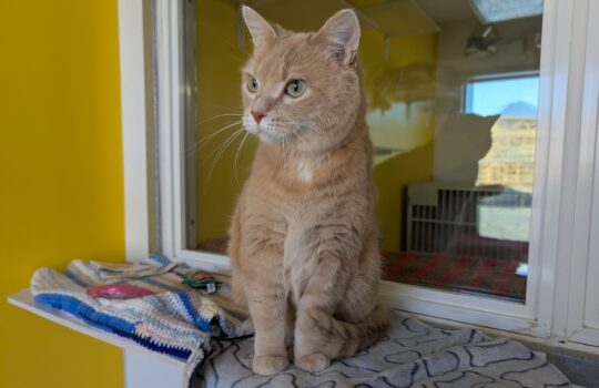 PXL_20260127_214421089