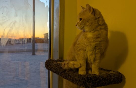 PXL_20260129_140000865