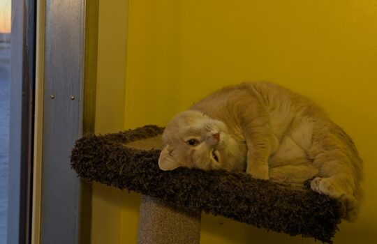 PXL_20260129_140009332