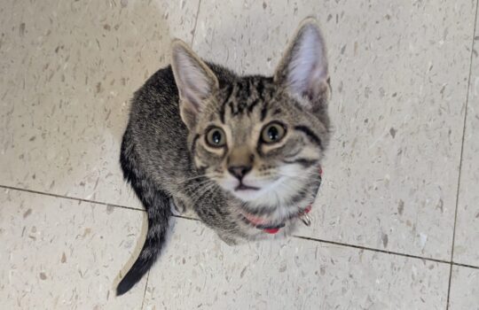 PXL_20260130_175011827