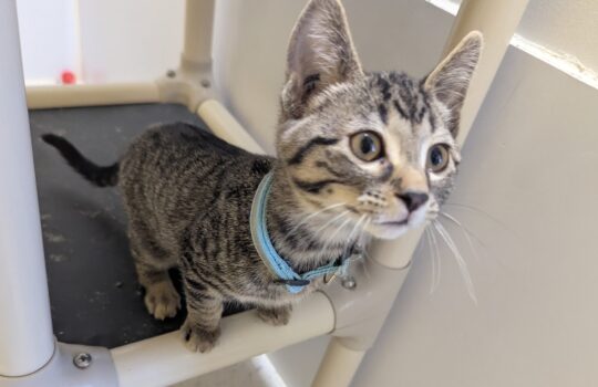 PXL_20260130_175104156