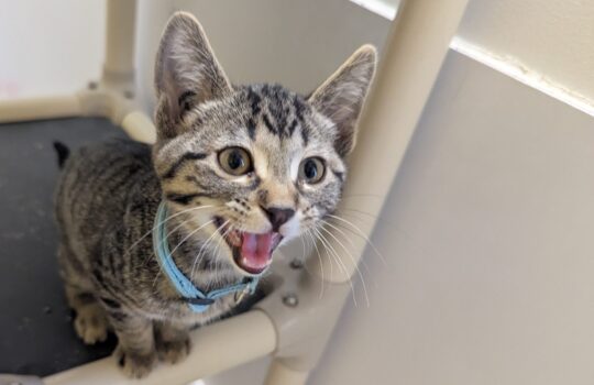 PXL_20260130_175107496