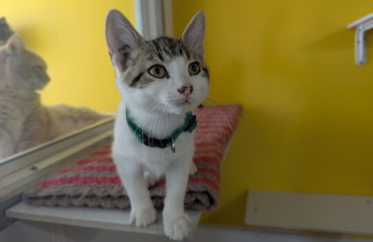 PXL_20260130_175122453