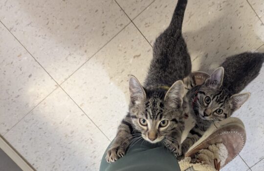 PXL_20260130_175125103