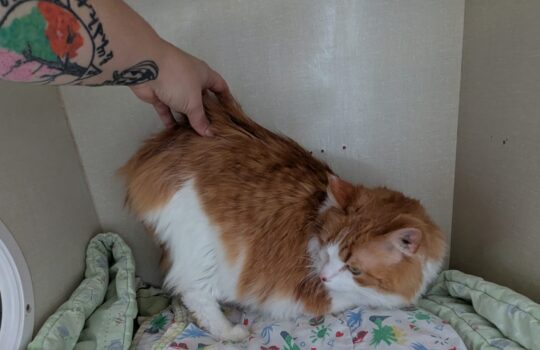 PXL_20260113_181550533