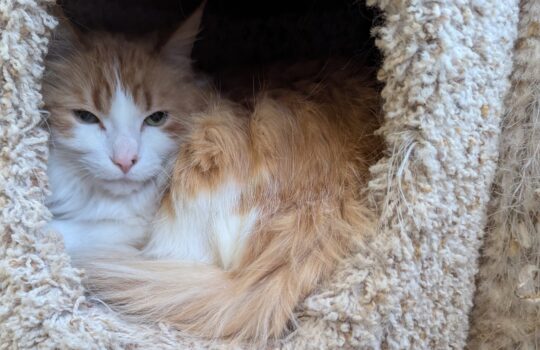 PXL_20260120_150006038