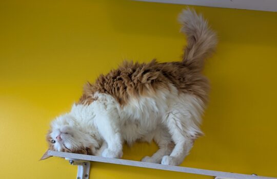 PXL_20260127_214617838